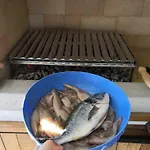 Marija * Kampor